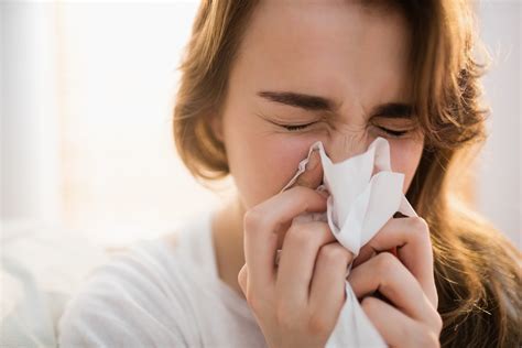 Sipon (Common Cold) .
